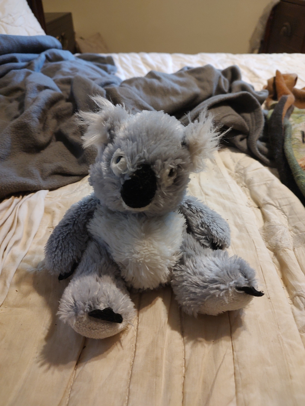 Webkinz Koala